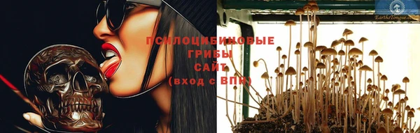 мдпв Богородицк