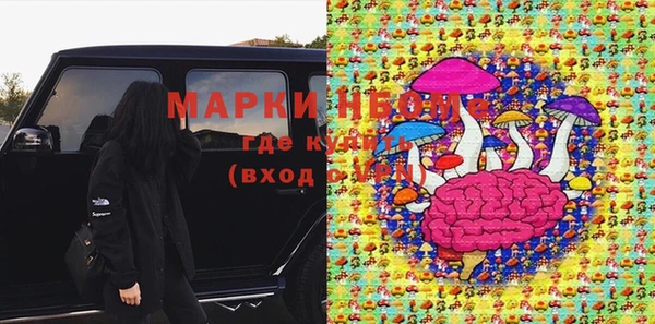 мдпв Богородицк
