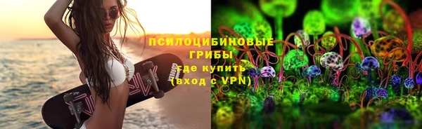 mdpv Богданович